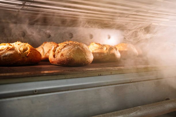 Unlock the Benefits of Steam Ovens in Your Kitchen